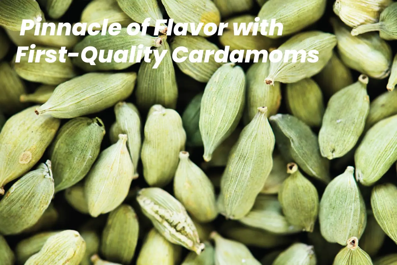 organic green cardamom